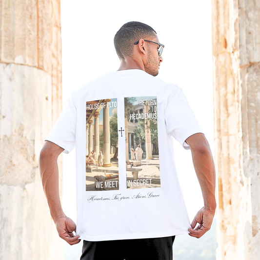 We Meet In Secret - The Return